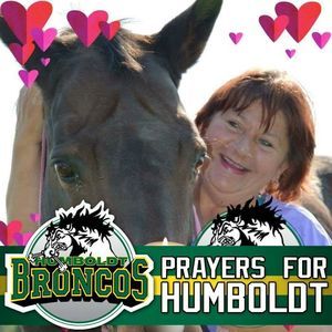 Meet your Posher, Tracey